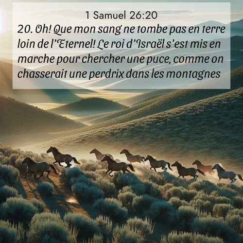Segond21 1 Samuel  ; image nature: image avec le verset biblique :Oh! Que mon sang ne tombe pas en terre loin de l&#039;Eternel! Le roi d&#039;Israël s&#039;est mis en marche pour chercher une puce, comme on chasserait une perdrix dans les montagnes.» ;  ; 26:20
