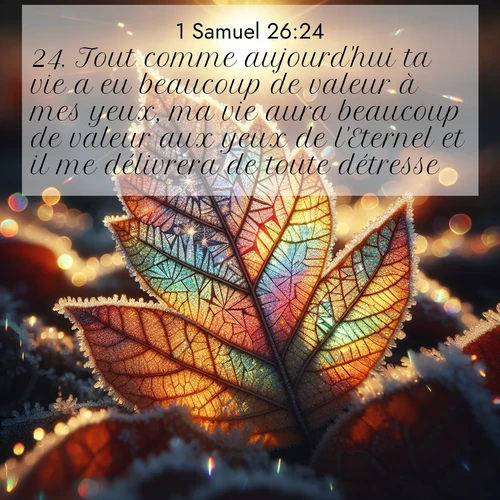 Segond21 1 Samuel  ; image nature: image avec le verset biblique :Tout comme aujourd&#039;hui ta vie a eu beaucoup de valeur à mes yeux, ma vie aura beaucoup de valeur aux yeux de l&#039;Eternel et il me délivrera de toute détresse.» ;  ; 26:24