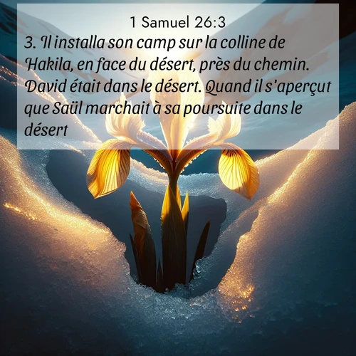 Segond21 1 Samuel  ; image nature: image avec le verset biblique :Il installa son camp sur la colline de Hakila, en face du désert, près du chemin. David était dans le désert. Quand il s&#039;aperçut que Saül marchait à sa poursuite dans le désert, ;  ; 26:3