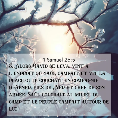 Segond21 1 Samuel  ; image nature: image avec le verset biblique :Alors David se leva, vint à l&#039;endroit où Saül campait et vit la place où il couchait en compagnie d&#039;Abner, fils de Ner et chef de son armée. Saül couchait au milieu du camp et le peuple campait autour de lui. ;  ; 26:5