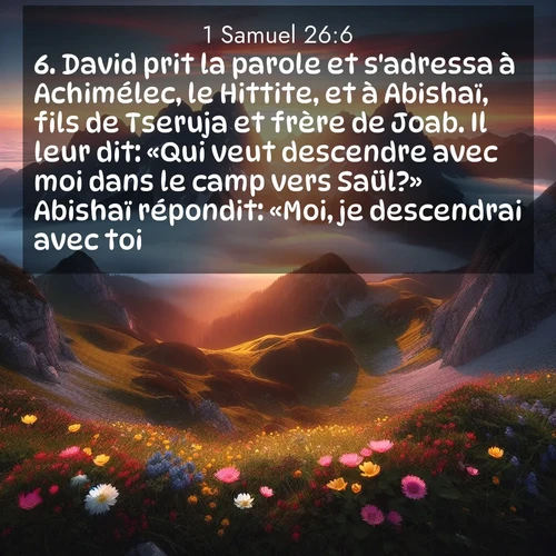 Segond21 1 Samuel  ; image nature: image avec le verset biblique :David prit la parole et s&#039;adressa à Achimélec, le Hittite, et à Abishaï, fils de Tseruja et frère de Joab. Il leur dit: «Qui veut descendre avec moi dans le camp vers Saül?» Abishaï répondit: «Moi, je descendrai avec toi.» ;  ; 26:6
