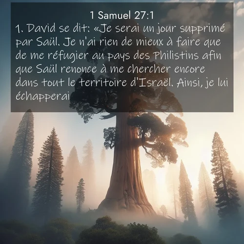 Segond21 1 Samuel  ; image nature: image avec le verset biblique :David se dit: «Je serai un jour supprimé par Saül. Je n&#039;ai rien de mieux à faire que de me réfugier au pays des Philistins afin que Saül renonce à me chercher encore dans tout le territoire d&#039;Israël. Ainsi, je lui échapperai.» ;  ; 27:1