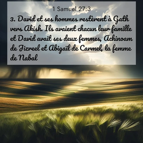 Segond21 1 Samuel  ; image nature: image avec le verset biblique :David et ses hommes restèrent à Gath vers Akish. Ils avaient chacun leur famille et David avait ses deux femmes, Achinoam de Jizreel et Abigaïl de Carmel, la femme de Nabal. ;  ; 27:3