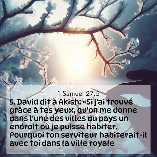 Segond21 1 Samuel  ; image nature: image avec le verset biblique :David dit à Akish: «Si j&#039;ai trouvé grâce à tes yeux, qu&#039;on me donne dans l&#039;une des villes du pays un endroit où je puisse habiter. Pourquoi ton serviteur habiterait-il avec toi dans la ville royale?» ;  ; 27:5