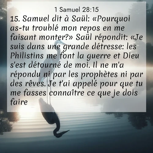 Segond21 1 Samuel  ; image nature: image avec le verset biblique :Samuel dit à Saül: «Pourquoi as-tu troublé mon repos en me faisant monter?» Saül répondit: «Je suis dans une grande détresse: les Philistins me font la guerre et Dieu s&#039;est détourné de moi. Il ne m&#039;a répondu ni par les prophètes ni par des rêves. Je t&#039;ai appelé pour que tu me fasses connaître ce que je dois faire.» ;  ; 28:15