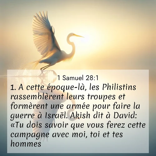 Segond21 1 Samuel  ; image nature: image avec le verset biblique :A cette époque-là, les Philistins rassemblèrent leurs troupes et formèrent une armée pour faire la guerre à Israël. Akish dit à David: «Tu dois savoir que vous ferez cette campagne avec moi, toi et tes hommes.» ;  ; 28:1