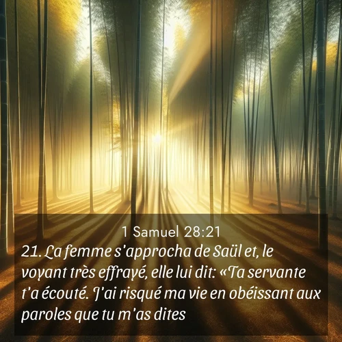 Segond21 1 Samuel  ; image nature: image avec le verset biblique :La femme s&#039;approcha de Saül et, le voyant très effrayé, elle lui dit: «Ta servante t&#039;a écouté. J&#039;ai risqué ma vie en obéissant aux paroles que tu m&#039;as dites. ;  ; 28:21