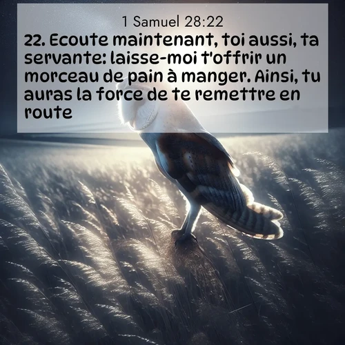 Segond21 1 Samuel  ; image nature: image avec le verset biblique :Ecoute maintenant, toi aussi, ta servante: laisse-moi t&#039;offrir un morceau de pain à manger. Ainsi, tu auras la force de te remettre en route.» ;  ; 28:22