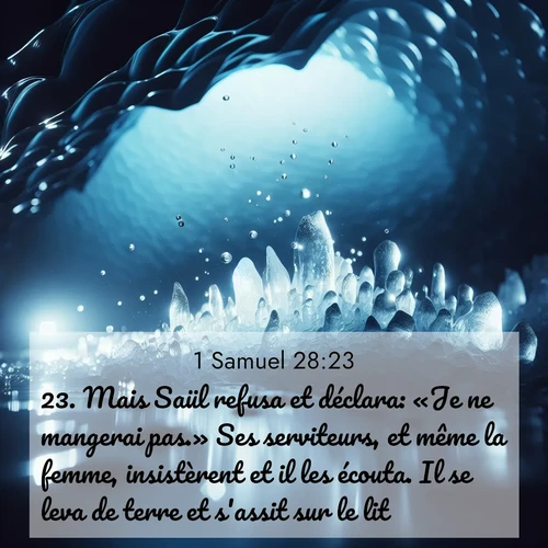Segond21 1 Samuel  ; image nature: image avec le verset biblique :Mais Saül refusa et déclara: «Je ne mangerai pas.» Ses serviteurs, et même la femme, insistèrent et il les écouta. Il se leva de terre et s&#039;assit sur le lit. ;  ; 28:23