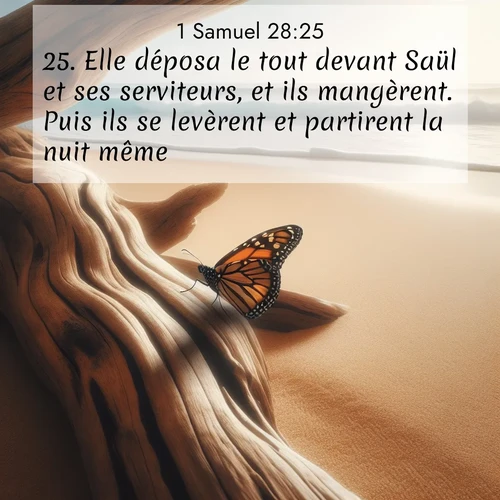 Segond21 1 Samuel  ; image nature: image avec le verset biblique :Elle déposa le tout devant Saül et ses serviteurs, et ils mangèrent. Puis ils se levèrent et partirent la nuit même. ;  ; 28:25