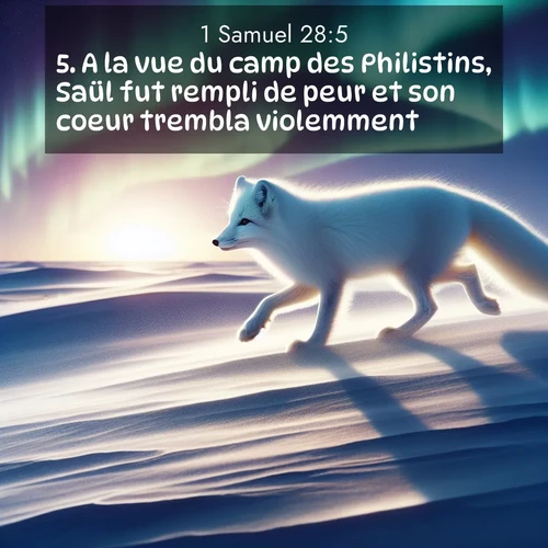 Segond21 1 Samuel  ; image nature: image avec le verset biblique :A la vue du camp des Philistins, Saül fut rempli de peur et son coeur trembla violemment. ;  ; 28:5