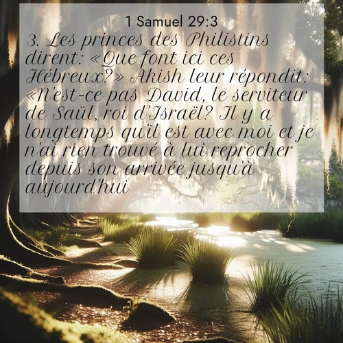 Segond21 1 Samuel  ; image nature: image avec le verset biblique :Les princes des Philistins dirent: «Que font ici ces Hébreux?» Akish leur répondit: «N&#039;est-ce pas David, le serviteur de Saül, roi d&#039;Israël? Il y a longtemps qu&#039;il est avec moi et je n&#039;ai rien trouvé à lui reprocher depuis son arrivée jusqu&#039;à aujourd&#039;hui.» ;  ; 29:3
