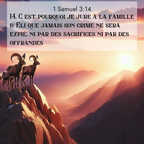 Segond21 1 Samuel  ; image nature: image avec le verset biblique :C&#039;est pourquoi je jure à la famille d&#039;Eli que jamais son crime ne sera expié, ni par des sacrifices ni par des offrandes.» ;  ; 3:14