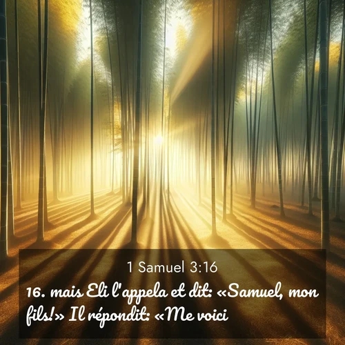 Segond21 1 Samuel  ; image nature: image avec le verset biblique :mais Eli l&#039;appela et dit: «Samuel, mon fils!» Il répondit: «Me voici!» ;  ; 3:16