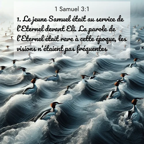 Segond21 1 Samuel  ; image nature: image avec le verset biblique :Le jeune Samuel était au service de l&#039;Eternel devant Eli. La parole de l&#039;Eternel était rare à cette époque, les visions n&#039;étaient pas fréquentes. ;  ; 3:1