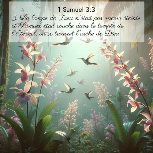 Segond21 1 Samuel  ; image nature: image avec le verset biblique :La lampe de Dieu n&#039;était pas encore éteinte et Samuel était couché dans le temple de l&#039;Eternel, où se trouvait l&#039;arche de Dieu. ;  ; 3:3
