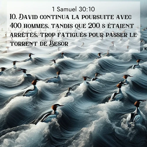 Segond21 1 Samuel  ; image nature: image avec le verset biblique :David continua la poursuite avec 400 hommes, tandis que 200 s&#039;étaient arrêtés, trop fatigués pour passer le torrent de Besor. ;  ; 30:10