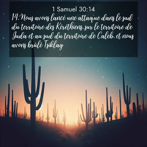 Segond21 1 Samuel  ; image nature: image avec le verset biblique :Nous avons lancé une attaque dans le sud du territoire des Kéréthiens, sur le territoire de Juda et au sud du territoire de Caleb, et nous avons brûlé Tsiklag.» ;  ; 30:14