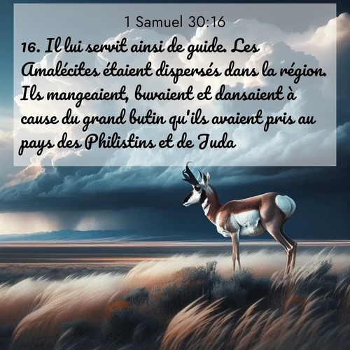 Segond21 1 Samuel  ; image nature: image avec le verset biblique :Il lui servit ainsi de guide. Les Amalécites étaient dispersés dans la région. Ils mangeaient, buvaient et dansaient à cause du grand butin qu&#039;ils avaient pris au pays des Philistins et de Juda. ;  ; 30:16