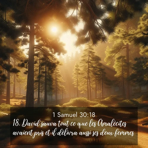 Segond21 1 Samuel  ; image nature: image avec le verset biblique :David sauva tout ce que les Amalécites avaient pris et il délivra aussi ses deux femmes. ;  ; 30:18