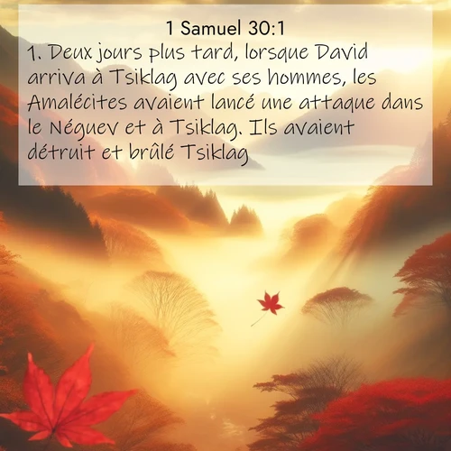 Segond21 1 Samuel  ; image nature: image avec le verset biblique :Deux jours plus tard, lorsque David arriva à Tsiklag avec ses hommes, les Amalécites avaient lancé une attaque dans le Néguev et à Tsiklag. Ils avaient détruit et brûlé Tsiklag, ;  ; 30:1