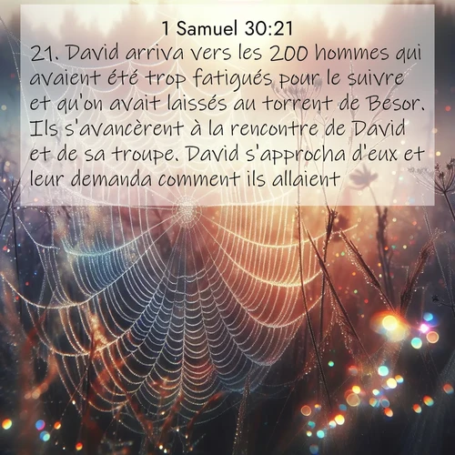 Segond21 1 Samuel  ; image nature: image avec le verset biblique :David arriva vers les 200 hommes qui avaient été trop fatigués pour le suivre et qu&#039;on avait laissés au torrent de Besor. Ils s&#039;avancèrent à la rencontre de David et de sa troupe. David s&#039;approcha d&#039;eux et leur demanda comment ils allaient. ;  ; 30:21