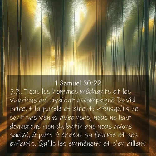 Segond21 1 Samuel  ; image nature: image avec le verset biblique :Tous les hommes méchants et les vauriens qui avaient accompagné David prirent la parole et dirent: «Puisqu&#039;ils ne sont pas venus avec nous, nous ne leur donnerons rien du butin que nous avons sauvé, à part à chacun sa femme et ses enfants. Qu&#039;ils les emmènent et s&#039;en aillent.» ;  ; 30:22