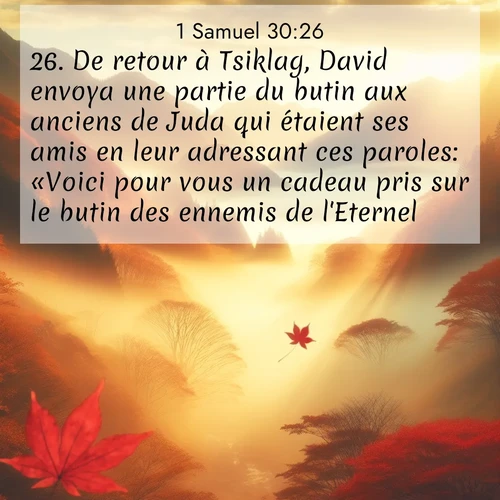 Segond21 1 Samuel  ; image nature: image avec le verset biblique :De retour à Tsiklag, David envoya une partie du butin aux anciens de Juda qui étaient ses amis en leur adressant ces paroles: «Voici pour vous un cadeau pris sur le butin des ennemis de l&#039;Eternel.» ;  ; 30:26