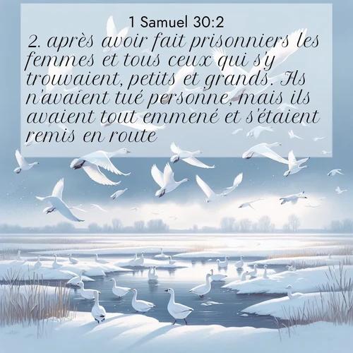 Segond21 1 Samuel  ; image nature: image avec le verset biblique :après avoir fait prisonniers les femmes et tous ceux qui s&#039;y trouvaient, petits et grands. Ils n&#039;avaient tué personne, mais ils avaient tout emmené et s&#039;étaient remis en route. ;  ; 30:2