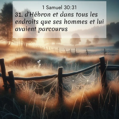 Segond21 1 Samuel  ; image nature: image avec le verset biblique :d&#039;Hébron et dans tous les endroits que ses hommes et lui avaient parcourus. ;  ; 30:31