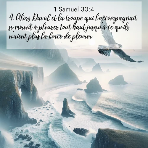 Segond21 1 Samuel  ; image nature: image avec le verset biblique :Alors David et la troupe qui l&#039;accompagnait se mirent à pleurer tout haut jusqu&#039;à ce qu&#039;ils n&#039;aient plus la force de pleurer. ;  ; 30:4