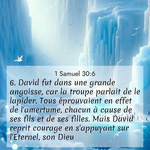 Segond21 1 Samuel  ; image nature: image avec le verset biblique :David fut dans une grande angoisse, car la troupe parlait de le lapider. Tous éprouvaient en effet de l&#039;amertume, chacun à cause de ses fils et de ses filles. Mais David reprit courage en s&#039;appuyant sur l&#039;Eternel, son Dieu. ;  ; 30:6
