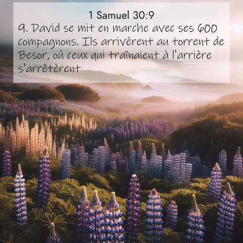Segond21 1 Samuel  ; image nature: image avec le verset biblique :David se mit en marche avec ses 600 compagnons. Ils arrivèrent au torrent de Besor, où ceux qui traînaient à l&#039;arrière s&#039;arrêtèrent. ;  ; 30:9
