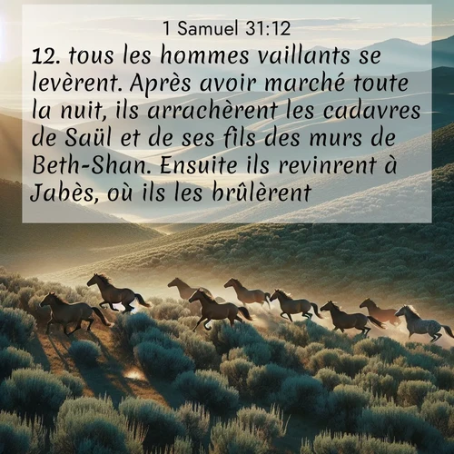 Segond21 1 Samuel  ; image nature: image avec le verset biblique :tous les hommes vaillants se levèrent. Après avoir marché toute la nuit, ils arrachèrent les cadavres de Saül et de ses fils des murs de Beth-Shan. Ensuite ils revinrent à Jabès, où ils les brûlèrent. ;  ; 31:12