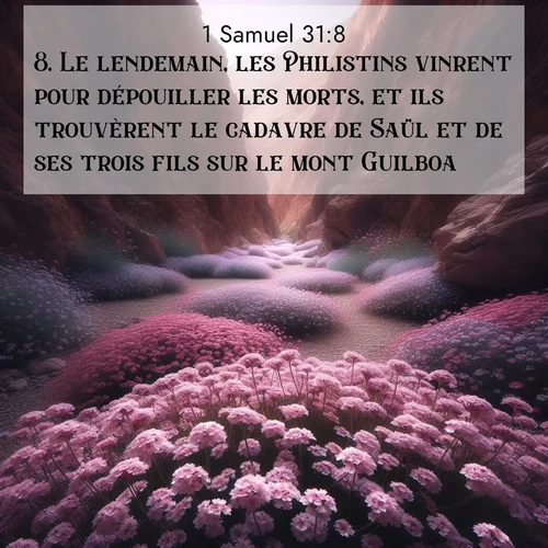 Segond21 1 Samuel  ; image nature: image avec le verset biblique :Le lendemain, les Philistins vinrent pour dépouiller les morts, et ils trouvèrent le cadavre de Saül et de ses trois fils sur le mont Guilboa. ;  ; 31:8