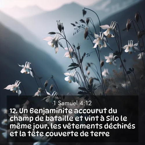Segond21 1 Samuel  ; image nature: image avec le verset biblique :Un Benjaminite accourut du champ de bataille et vint à Silo le même jour, les vêtements déchirés et la tête couverte de terre. ;  ; 4:12