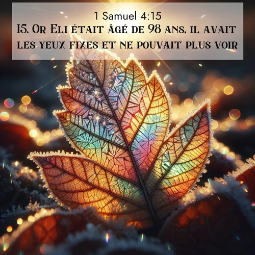 Segond21 1 Samuel  ; image nature: image avec le verset biblique :Or Eli était âgé de 98 ans, il avait les yeux fixes et ne pouvait plus voir. ;  ; 4:15