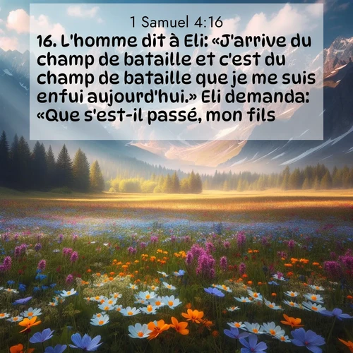 Segond21 1 Samuel  ; image nature: image avec le verset biblique :L&#039;homme dit à Eli: «J&#039;arrive du champ de bataille et c&#039;est du champ de bataille que je me suis enfui aujourd&#039;hui.» Eli demanda: «Que s&#039;est-il passé, mon fils?» ;  ; 4:16
