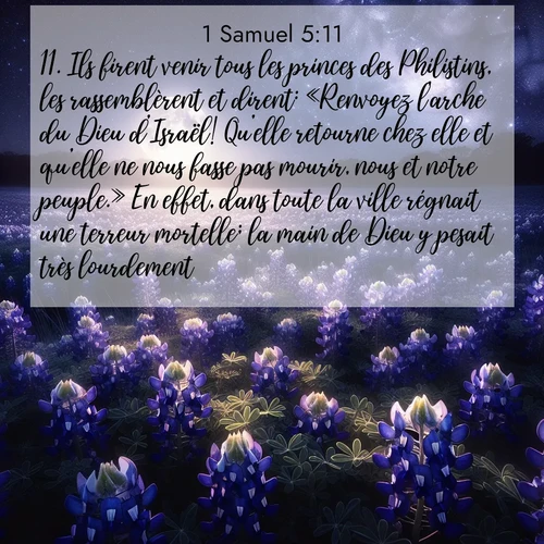 Segond21 1 Samuel  ; image nature: image avec le verset biblique :Ils firent venir tous les princes des Philistins, les rassemblèrent et dirent: «Renvoyez l&#039;arche du Dieu d&#039;Israël! Qu&#039;elle retourne chez elle et qu&#039;elle ne nous fasse pas mourir, nous et notre peuple.» En effet, dans toute la ville régnait une terreur mortelle; la main de Dieu y pesait très lourdement. ;  ; 5:11
