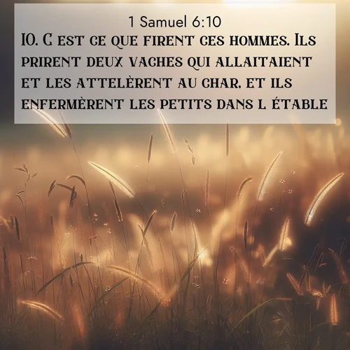Segond21 1 Samuel  ; image nature: image avec le verset biblique :C&#039;est ce que firent ces hommes. Ils prirent deux vaches qui allaitaient et les attelèrent au char, et ils enfermèrent les petits dans l&#039;étable. ;  ; 6:10