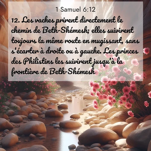 Segond21 1 Samuel  ; image nature: image avec le verset biblique :Les vaches prirent directement le chemin de Beth-Shémesh; elles suivirent toujours la même route en mugissant, sans s&#039;écarter à droite ou à gauche. Les princes des Philistins les suivirent jusqu&#039;à la frontière de Beth-Shémesh. ;  ; 6:12