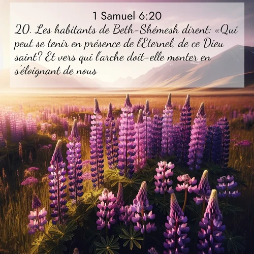 Segond21 1 Samuel  ; image nature: image avec le verset biblique :Les habitants de Beth-Shémesh dirent: «Qui peut se tenir en présence de l&#039;Eternel, de ce Dieu saint? Et vers qui l&#039;arche doit-elle monter en s&#039;éloignant de nous?» ;  ; 6:20