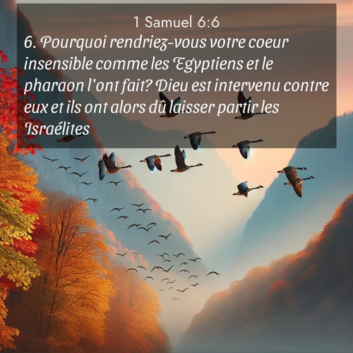 Segond21 1 Samuel  ; image nature: image avec le verset biblique :Pourquoi rendriez-vous votre coeur insensible comme les Egyptiens et le pharaon l&#039;ont fait? Dieu est intervenu contre eux et ils ont alors dû laisser partir les Israélites. ;  ; 6:6