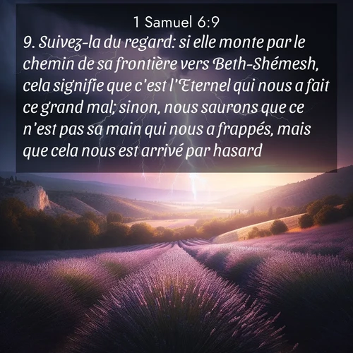 Segond21 1 Samuel  ; image nature: image avec le verset biblique :Suivez-la du regard: si elle monte par le chemin de sa frontière vers Beth-Shémesh, cela signifie que c&#039;est l&#039;Eternel qui nous a fait ce grand mal; sinon, nous saurons que ce n&#039;est pas sa main qui nous a frappés, mais que cela nous est arrivé par hasard.» ;  ; 6:9