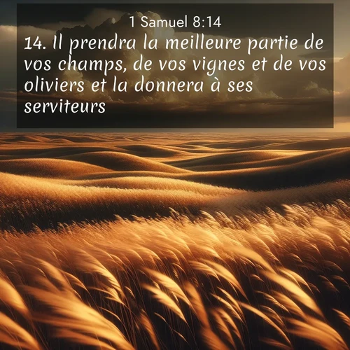 Segond21 1 Samuel  ; image nature: image avec le verset biblique :Il prendra la meilleure partie de vos champs, de vos vignes et de vos oliviers et la donnera à ses serviteurs. ;  ; 8:14
