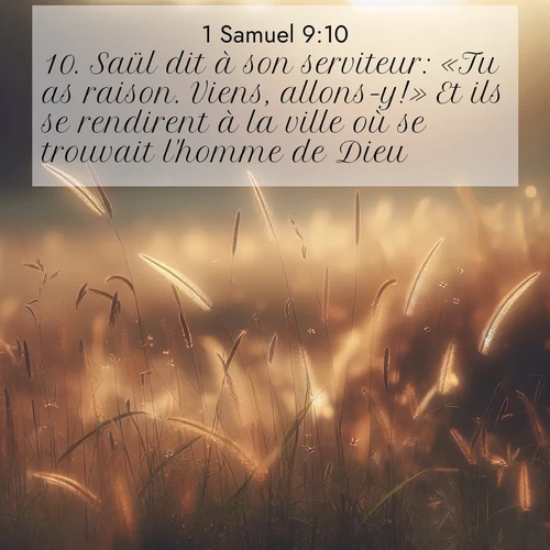 Segond21 1 Samuel  ; image nature: image avec le verset biblique :Saül dit à son serviteur: «Tu as raison. Viens, allons-y!» Et ils se rendirent à la ville où se trouvait l&#039;homme de Dieu. ;  ; 9:10