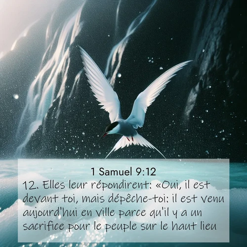 Segond21 1 Samuel  ; image nature: image avec le verset biblique :Elles leur répondirent: «Oui, il est devant toi, mais dépêche-toi: il est venu aujourd&#039;hui en ville parce qu&#039;il y a un sacrifice pour le peuple sur le haut lieu. ;  ; 9:12