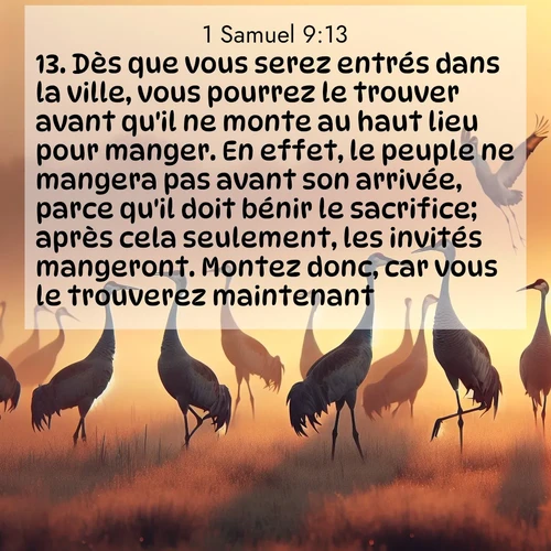 Segond21 1 Samuel  ; image nature: image avec le verset biblique :Dès que vous serez entrés dans la ville, vous pourrez le trouver avant qu&#039;il ne monte au haut lieu pour manger. En effet, le peuple ne mangera pas avant son arrivée, parce qu&#039;il doit bénir le sacrifice; après cela seulement, les invités mangeront. Montez donc, car vous le trouverez maintenant.» ;  ; 9:13
