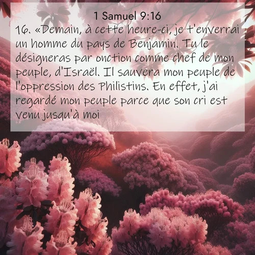 Segond21 1 Samuel  ; image nature: image avec le verset biblique :«Demain, à cette heure-ci, je t&#039;enverrai un homme du pays de Benjamin. Tu le désigneras par onction comme chef de mon peuple, d&#039;Israël. Il sauvera mon peuple de l&#039;oppression des Philistins. En effet, j&#039;ai regardé mon peuple parce que son cri est venu jusqu&#039;à moi.» ;  ; 9:16