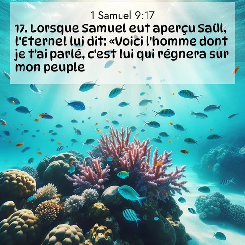 Segond21 1 Samuel  ; image nature: image avec le verset biblique :Lorsque Samuel eut aperçu Saül, l&#039;Eternel lui dit: «Voici l&#039;homme dont je t&#039;ai parlé, c&#039;est lui qui régnera sur mon peuple.» ;  ; 9:17